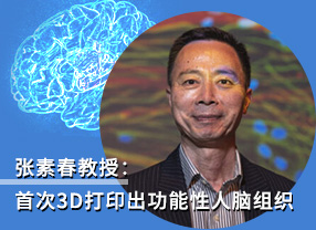 张素春教授：首次3D打印出功能性人脑组织