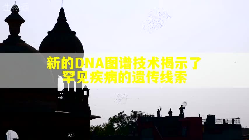 新的DNA图谱技术揭示了罕见疾病的遗传线索